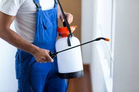 Trusted St Augustine South, FL Pest Control Experts